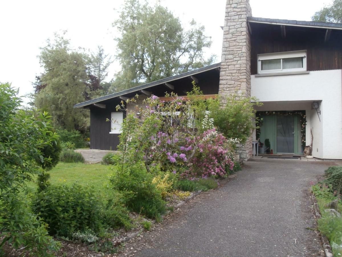 L'Echappee Belle A L'Etang D'Anty -Appartement Saint-Nabord Zewnętrze zdjęcie